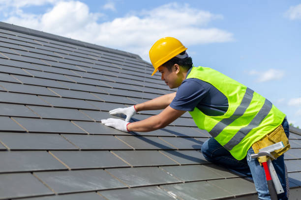 Best Roof Leak Repair  in Meeker, CO