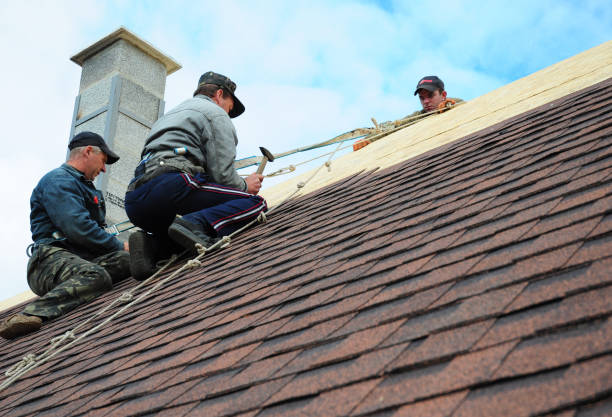 Best Roof Leak Repair  in Meeker, CO