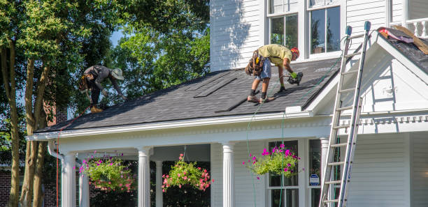 Best Roof Waterproofing Services  in Meeker, CO