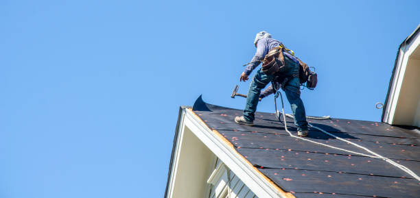 Professional Roofing Contractor in Meeker, CO